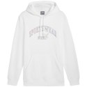 Bluza Puma Ess+ Logo LAB Gradient Hoodie FL M 681775 02 Puma