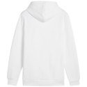 Bluza Puma Ess+ Logo LAB Gradient Hoodie FL M 681775 02 Puma