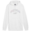 Bluza Puma Ess+ Logo LAB Gradient Hoodie FL M 681775 02 Puma