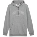 Bluza Puma Ess+ Logo LAB Gradient Hoodie FL M 681775 03 Puma