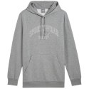 Bluza Puma Ess+ Logo LAB Gradient Hoodie FL M 681775 03 Puma