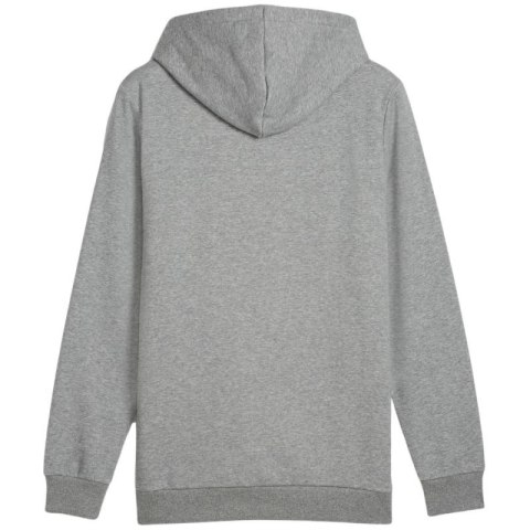 Bluza Puma Ess+ Logo LAB Gradient Hoodie FL M 681775 03 Puma