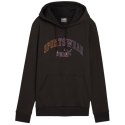 Bluza Puma Ess+ Logo LAB Hoodie FL W 682987 01 Puma