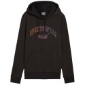 Bluza Puma Ess+ Logo LAB Hoodie FL W 682987 01 Puma
