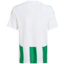 Koszulka adidas Striped 24 Jr IW2138 Adidas