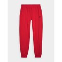 Spodnie dresowe 4F M 4FWMM00TTROM0943-70S 4f