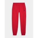 Spodnie dresowe 4F M 4FWMM00TTROM0943-70S 4f