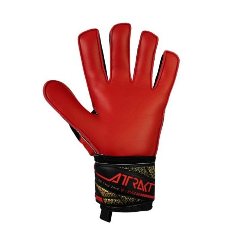 Rękawice bramkarskie Reusch Attrakt Solid 5570515 7075 Reusch