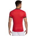 Koszulka Nike Academy 25 SS Top M FZ9754 657 Nike