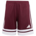 Spodenki adidas Squadra 25 Jr JC8665 Adidas