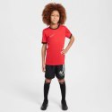 Koszulka Nike Dri-Fit Academy 25 SS Jr FZ9758 657 Nike