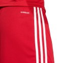 Spodenki adidas Squadra 25 M JE7745 Adidas