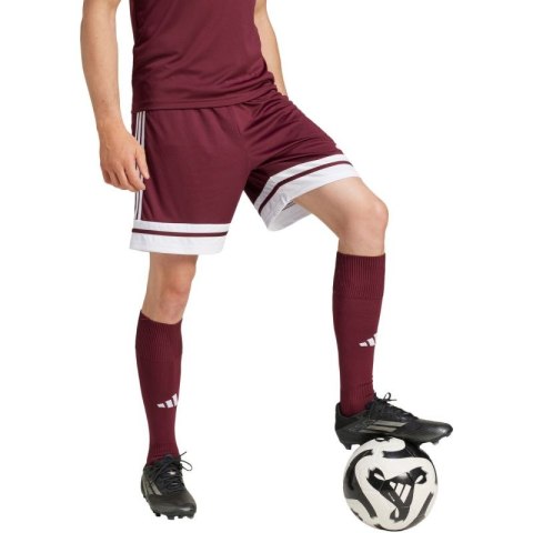 Spodenki adidas Squadra 25 M JC8677 Adidas