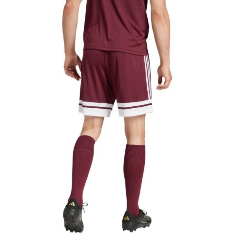 Spodenki adidas Squadra 25 M JC8677 Adidas