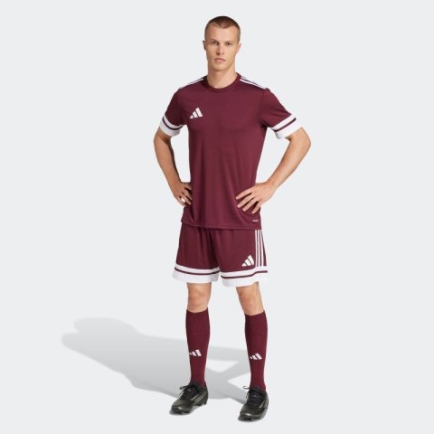 Spodenki adidas Squadra 25 M JC8677 Adidas