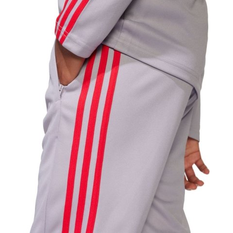 Spodnie adidas Squadra 25 Training Jr JP3369 Adidas