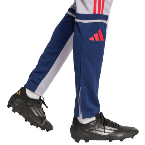 Spodnie adidas Squadra 25 Training M JP3372 Adidas