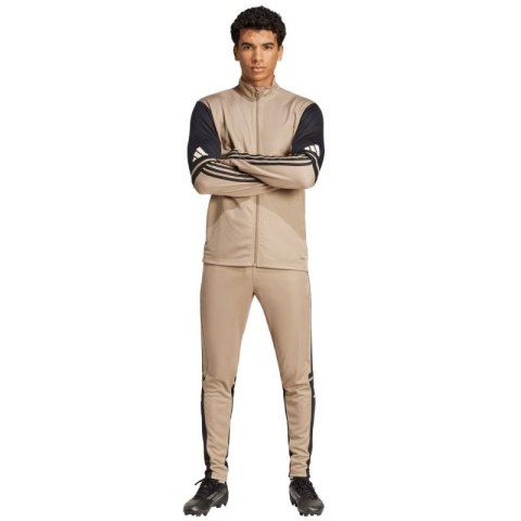 Spodnie adidas Squadra 25 Training M JP3374 Adidas