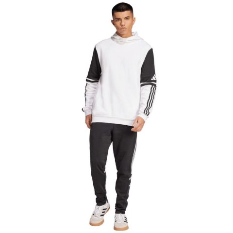 Spodnie adidas Squadra 25 Sweat Pant M JE2765 Adidas