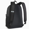 Pleack Puma Phase 091164-01 Puma