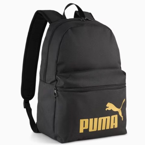 Pleack Puma Phase 091164-03 Puma