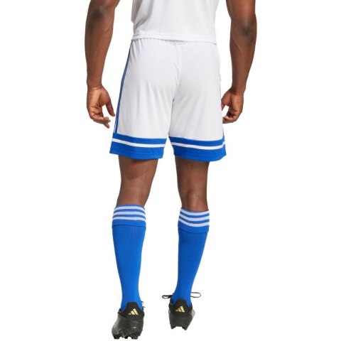 Spodenki adidas Squadra 25 M JH3409 Adidas