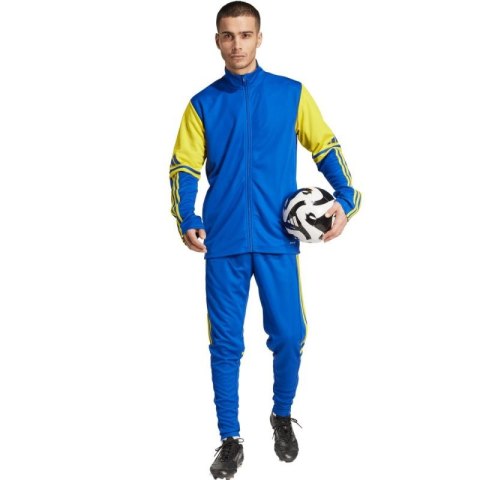 Spodnie adidas Squadra 25 Training M JP3152 Adidas