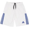 Spodenki adidas MT19 Knitted Short M DW6772 Adidas