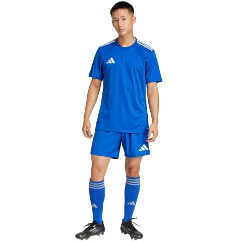 Spodenki adidas Tastigo 25 M JN7159 Adidas
