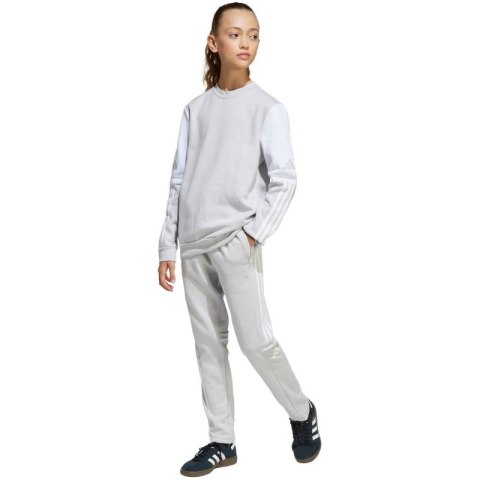 Bluza adidas Squadra 25 Sweat Crew Jr JD4824 Adidas