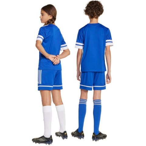 Spodenki adidas Squadra 25 Jr JN5455 Adidas