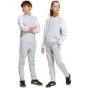 Spodnie adidas Squadra 25 Sweat Jr JD4823 Adidas