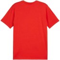 Koszulka Puma Team Goal Casuals Tee M 658615 01 Puma