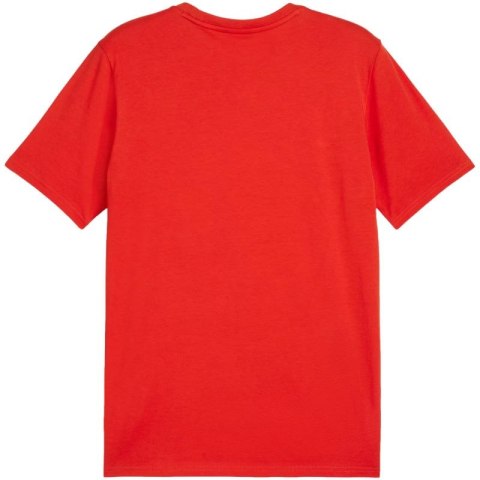 Koszulka Puma Team Goal Casuals Tee M 658615 01 Puma