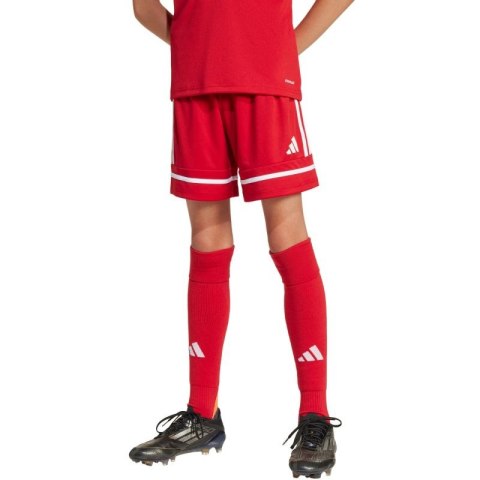 Spodenki adidas Squadra 25 Jr JN5456 Adidas
