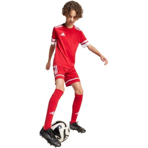 Spodenki adidas Squadra 25 Jr JN5456 Adidas
