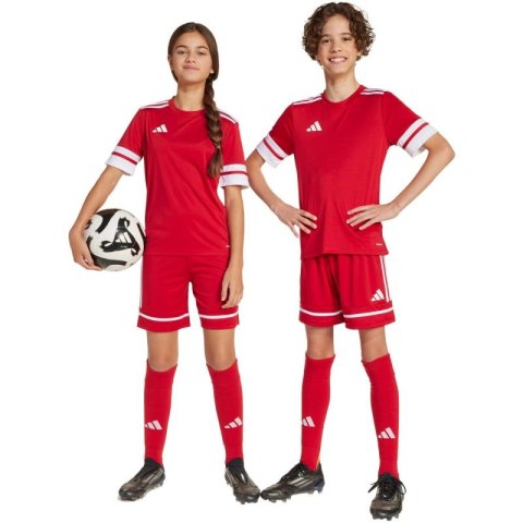 Spodenki adidas Squadra 25 Jr JN5456 Adidas