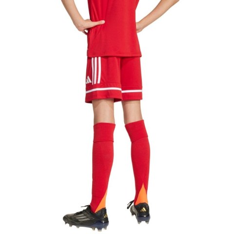 Spodenki adidas Squadra 25 Jr JN5456 Adidas