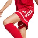 Spodenki adidas Squadra 25 Jr JN5456 Adidas
