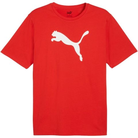 Koszulka Puma Team Rise Logo Jersey Cotton M 658705 01 Puma