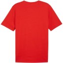 Koszulka Puma Team Rise Logo Jersey Cotton M 658705 01 Puma