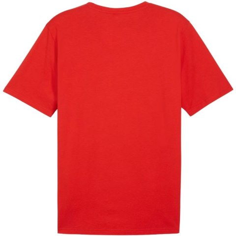 Koszulka Puma Team Rise Logo Jersey Cotton M 658705 01 Puma