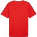 Koszulka Puma Team Rise Logo Jersey Cotton M 658705 01 Puma