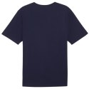 Koszulka Puma Team Rise Logo Jersey Cotton M 658705 06 Puma