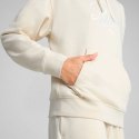 Bluza Puma Ess Script Comfort Hoodie W 684983 87 Puma