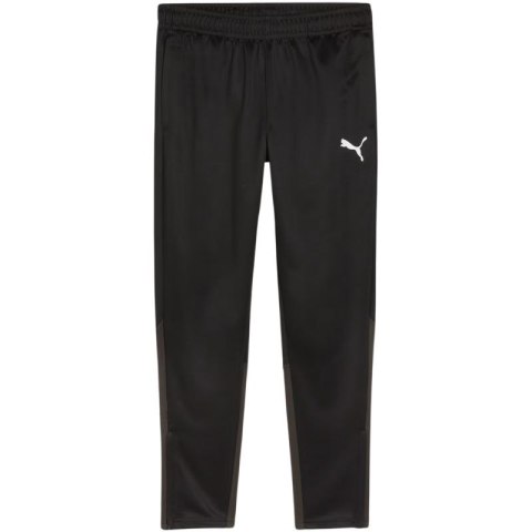 Spodnie Puma Team Goal Training M 658639 03 Puma