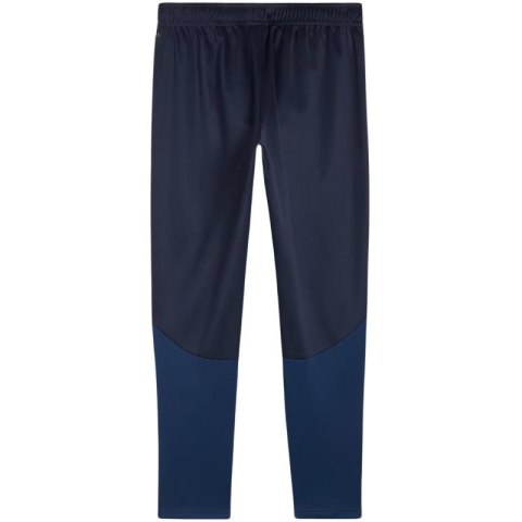 Spodnie Puma Team Goal Training M 658639 06 Puma