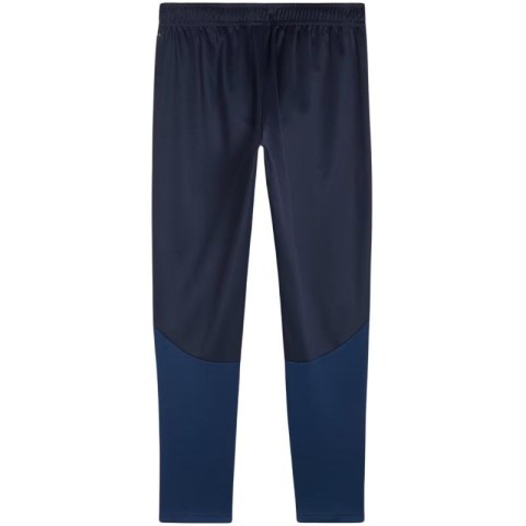 Spodnie Puma Team Goal Training M 658639 06 Puma
