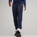 Spodnie Puma Team Goal Training M 658639 06 Puma