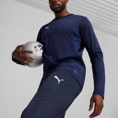 Spodnie Puma Team Goal Training M 658639 06 Puma